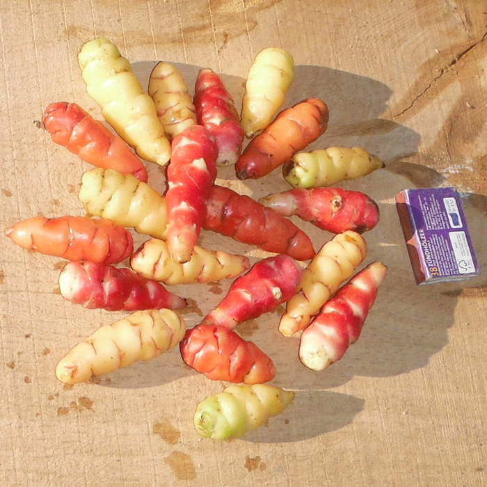 Oca, Farbmischung Oca, Farbmischung