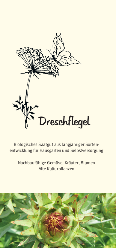 Dreschflegel-Faltblatt