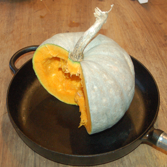 Bratkürbis Bosnien Bratkürbis Bosnien