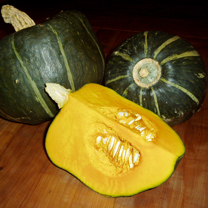 Kürbis Buttercup Burgess Kürbis Buttercup Burgess