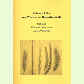 Weizenevolution: Vom Wildgras zur Hochertragssorte Weizenevolution: Vom Wildgras zur Hochertragssorte