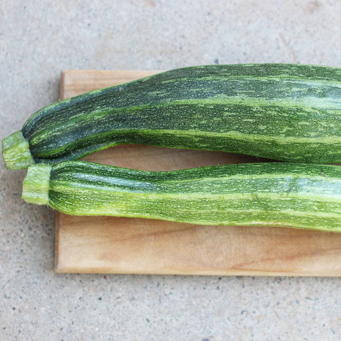 Zucchini Cocozelle von Tripolis (Verte non coureuse d'Italie)