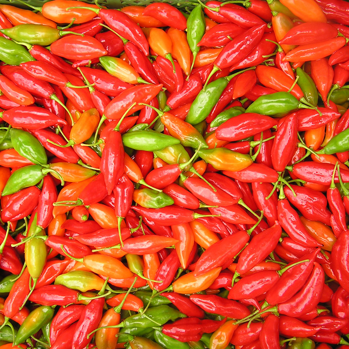 Chili Habanero Hot Paper Lantern