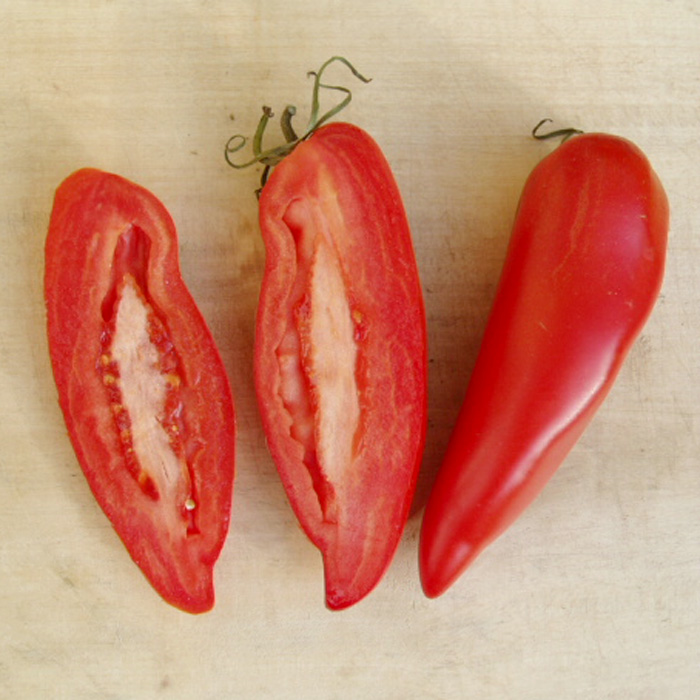 Marktomate Rote Spitzel