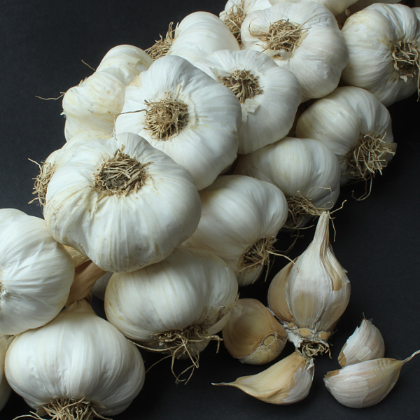 Knoblauch Flinsberger