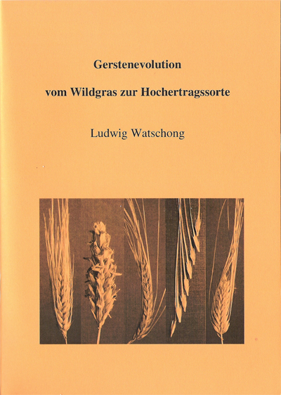 Gerstenevolution: Vom Wildgras zur Hochertragssorte Gerstenevolution: Vom Wildgras zur Hochertragssorte