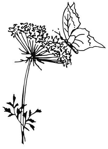 Gründüngertabelle Gründüngertabelle