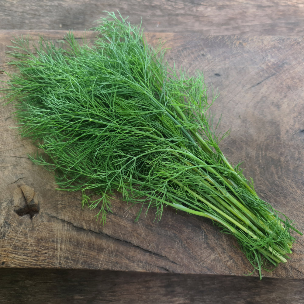 Tetra-Dill Tetra-Dill