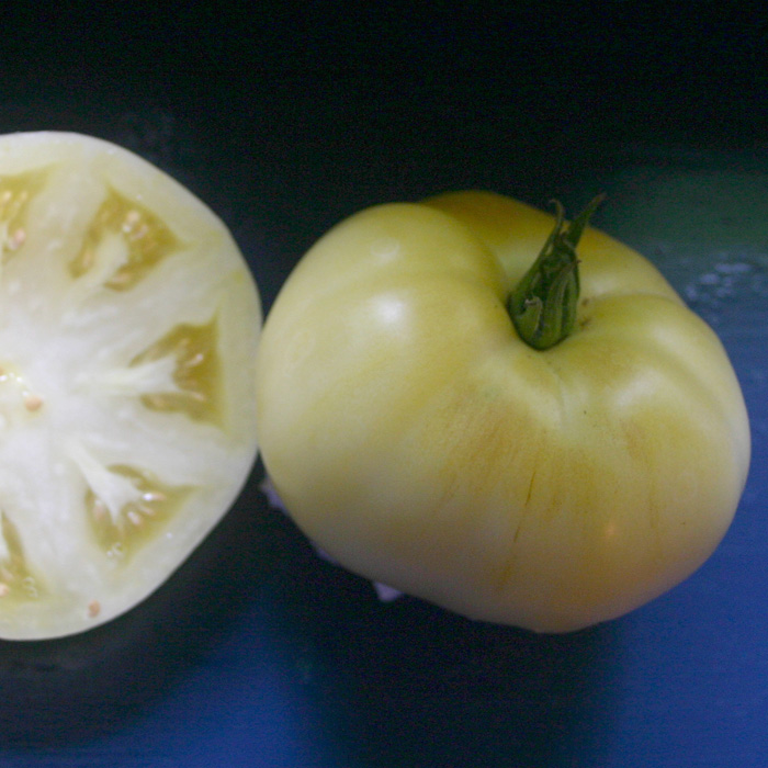 Fleischtomate White Beauty