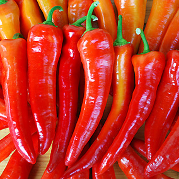Paprika Sweet Banana Paprika Sweet Banana